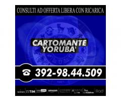 ★☆✦♡♡ Cartomante YORUBA' ♡♡✦☆★